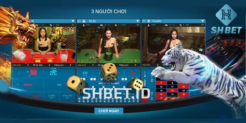 Rồng Hổ SHBET – Sảnh cược hấp dẫn, thú vị thu hút người chơi 1 Rồng Hổ SHBET