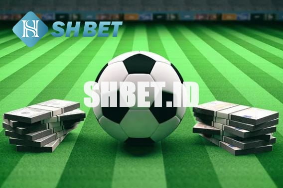 Bóng đá ảo là gì? Cách hoạt động ra sao? 15 bóng đá ảo