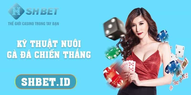 Kỹ thuật nuôi gà đá chiến thắng cho anh em yêu thích chọi gà 9 Kỹ thuật nuôi gà đá chiến thắng cho anh em yêu thích chọi gà